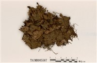 藏品(長根地卷)的圖片